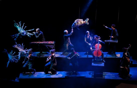 6623148191_595a6d9cf4_b