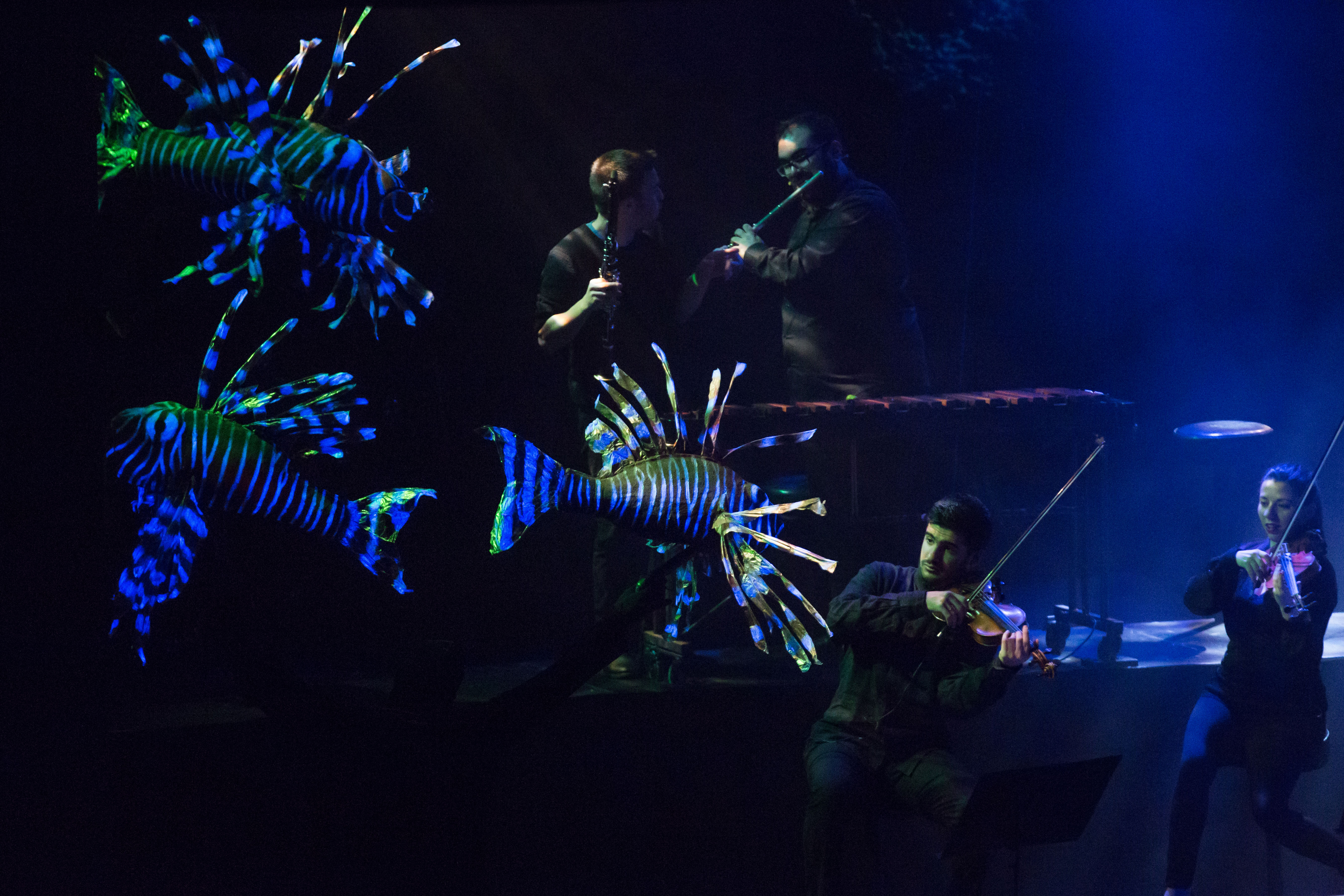 carnaval peces web (1)