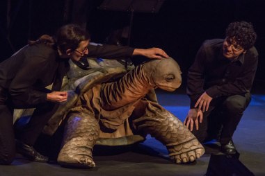 carnaval tortuga web (1).jpg